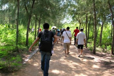 Tour Du Lịch Nha Trang (Vịnh Nha Phu - Đảo Khỉ ) 1 Ngày